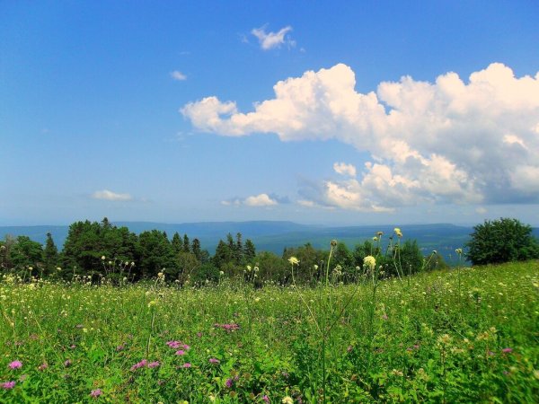 Пейзажи Краснодарского края Кубани