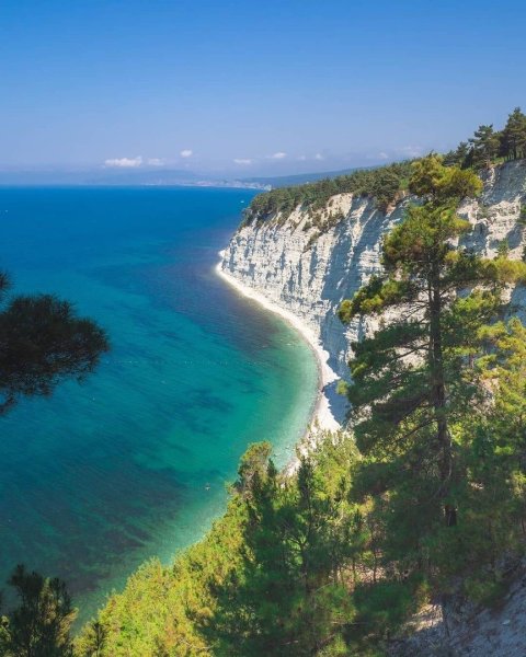 Ковыль Донской край
