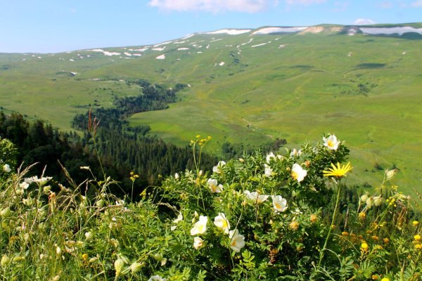Адыгея плато Лаго Наки природа