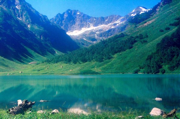 Лес Адыгея Хаджох