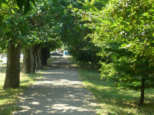 Лагонаки гора Фишт