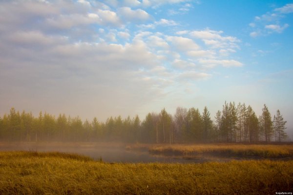 ХМАО природа Когалым