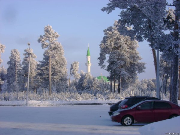 Когалым природа зимой
