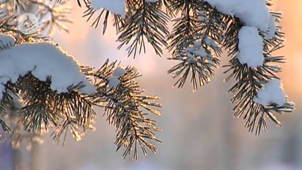 Осень Когалым