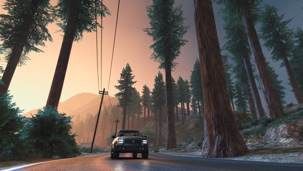 GTA 5 лес