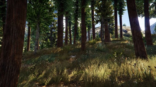 GTA 5 Forest