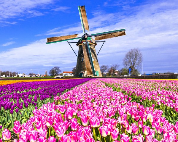 Beverwijk Нидерланды