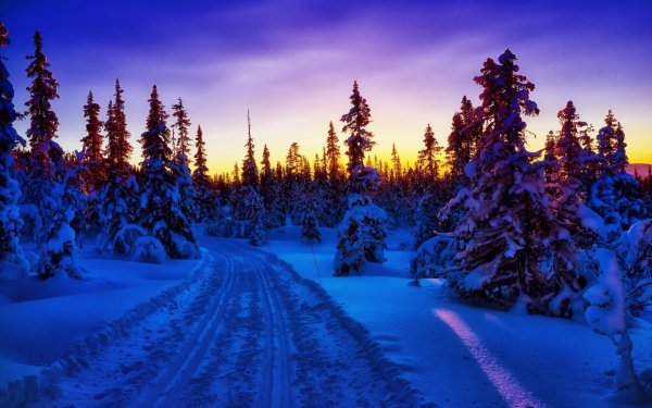 Декабрь природа