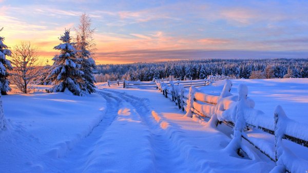 Карпаты горы домик
