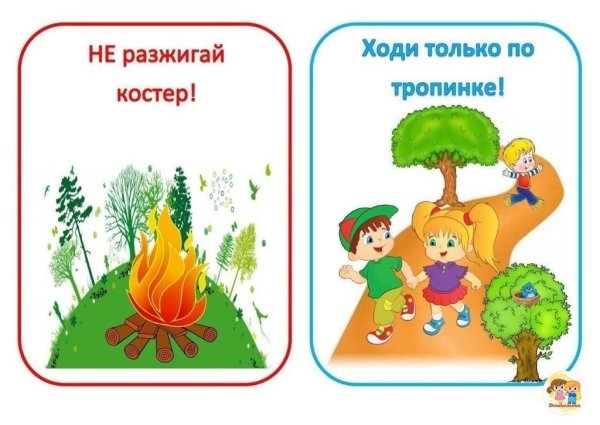 Правила поведения на природе