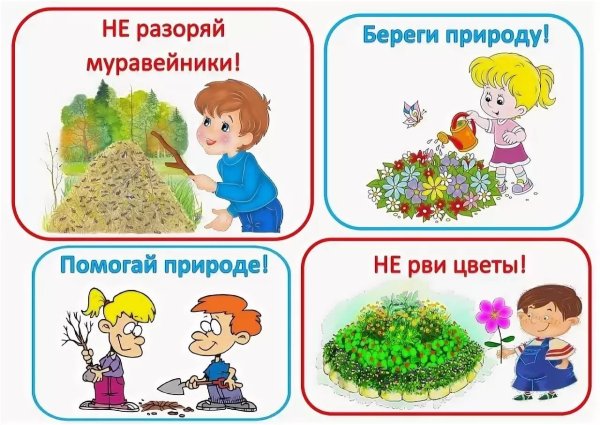 Поведение в природе для дошкольников
