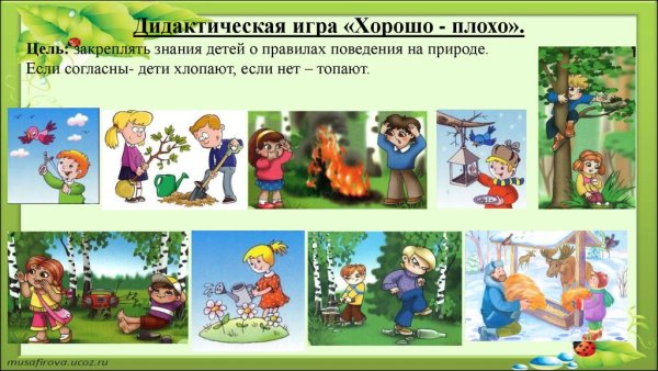 Экология для детей дошкольного возраста