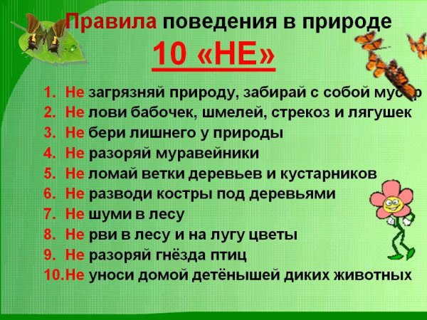 Памятка о правилах поведения в природе для детей