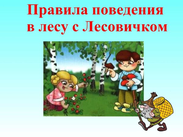 Правила поведения в лесу для детей