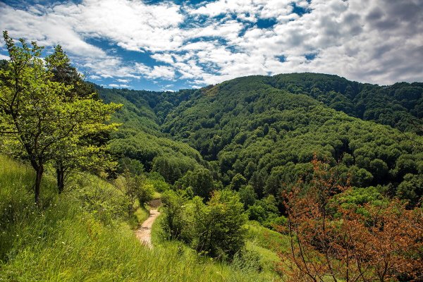 Национальный парк «Кисловодский» Кисловодск