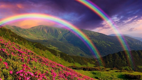 Красивые летние пейзажи