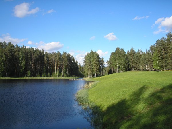 Эстония ландшафт