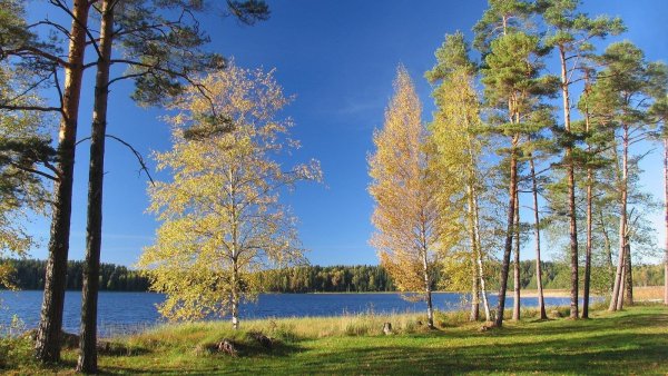 Эстония Лесные озера