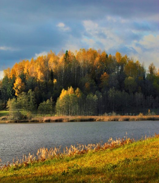 Осень Кенозеро