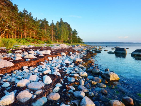 Эстония Балтийское море