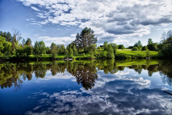 Природа нашего края