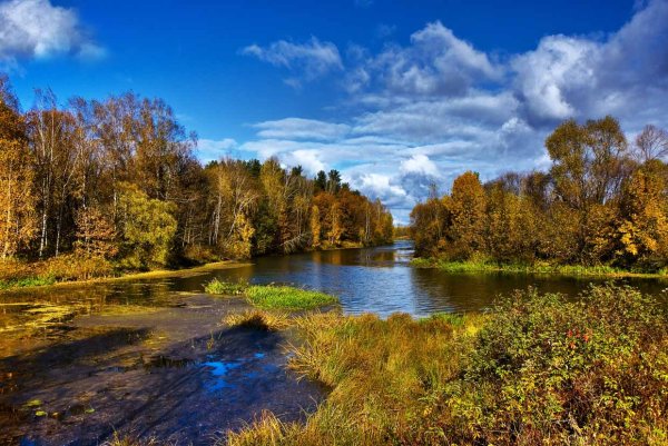 Родной край