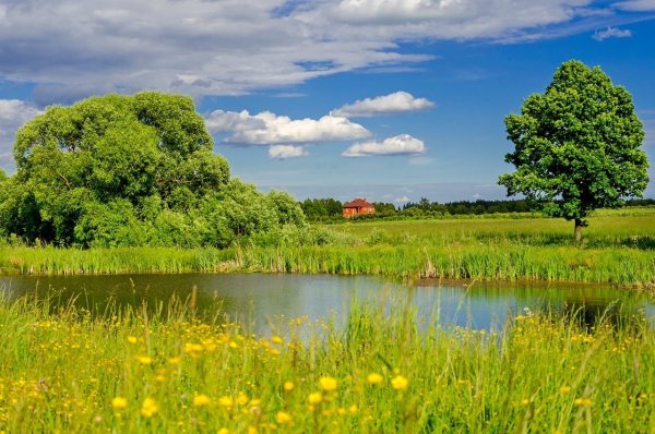 Природа родного края