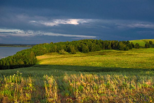 Родной край