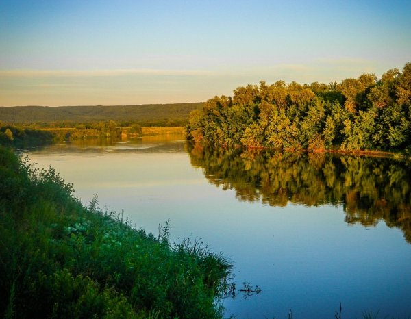 Природа родного края