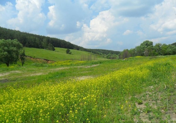 Родной край