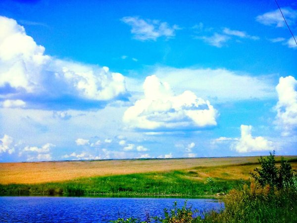 Родная природа
