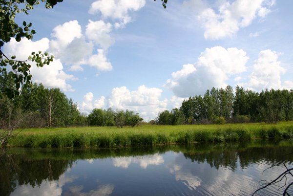 Природа родного края