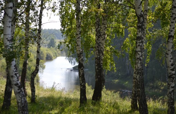 Родной край