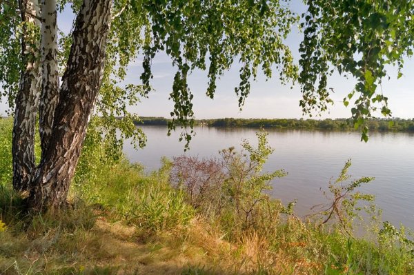 Родная природа
