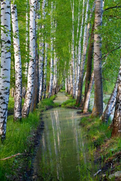 Природа Ульяновской области