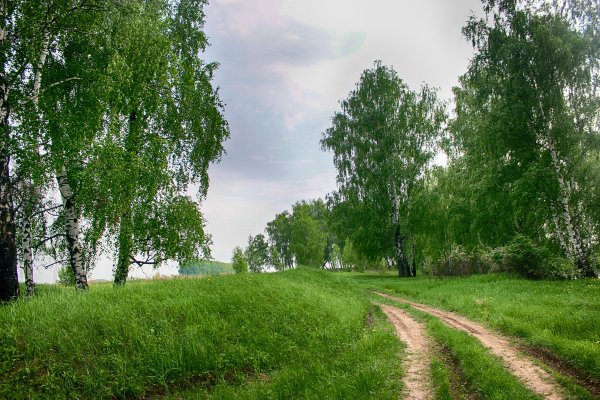 Родимый край