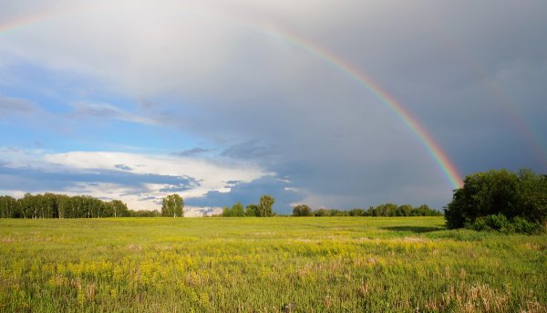 Природа нашего края