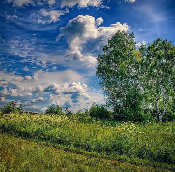 Природа родного края