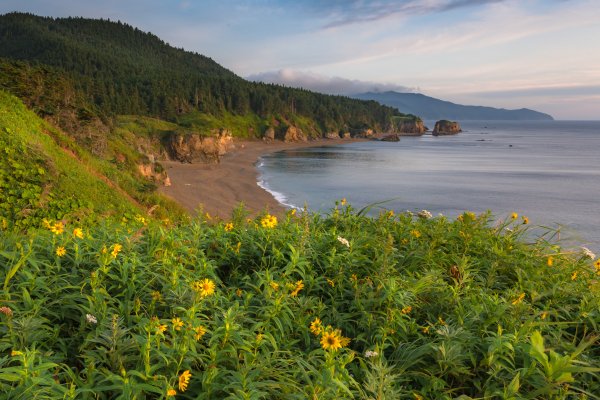 Мыс Екатерины Сахалин