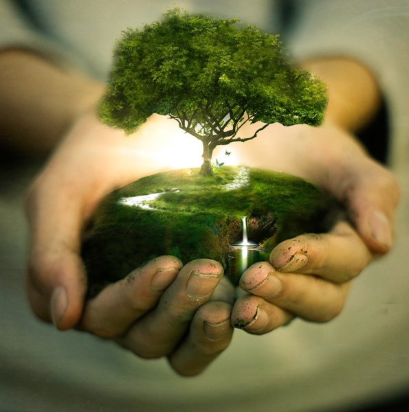 Пшеничное поле человек