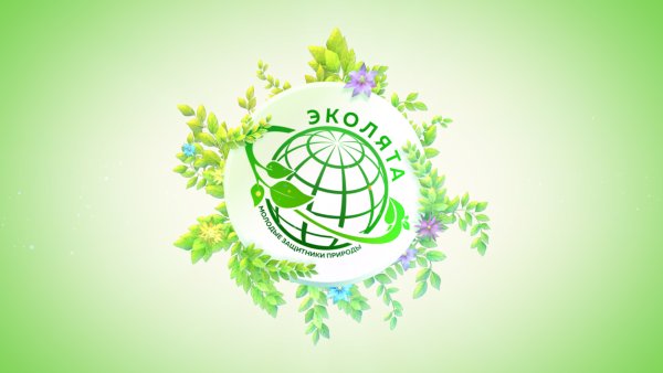 Эколят молодые защитники природы