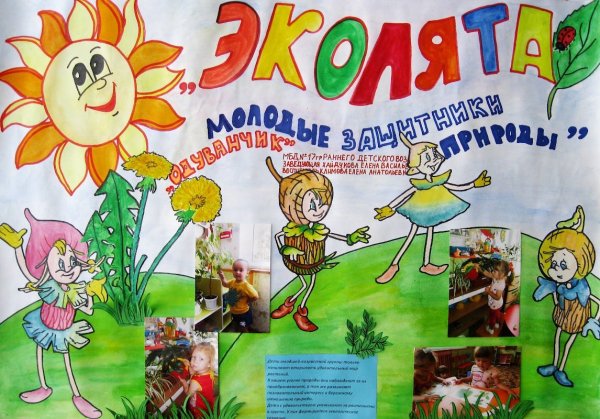 Всероссийский урок Эколята молодые защитники природы 2021