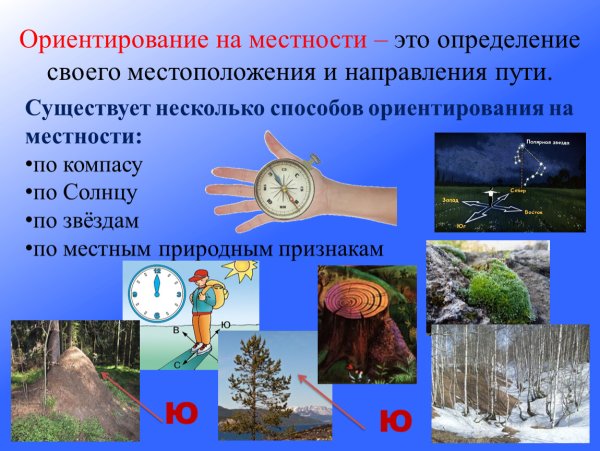 Времена года картинки для дошкольников