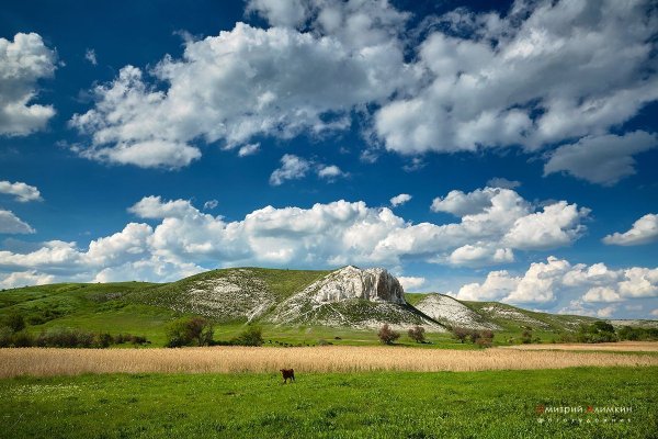 Белокузьминовка меловые горы