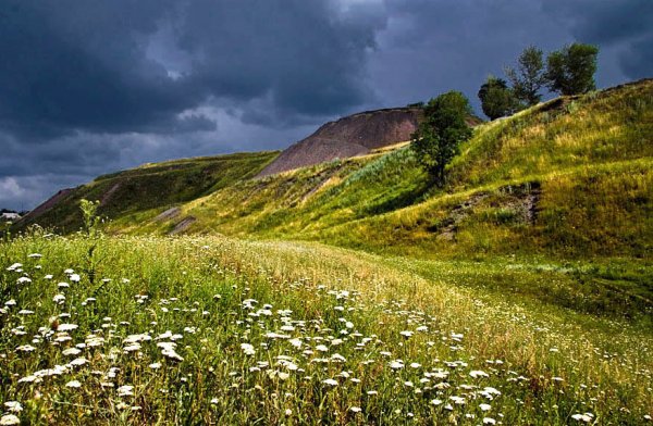 Луга в Хакасии