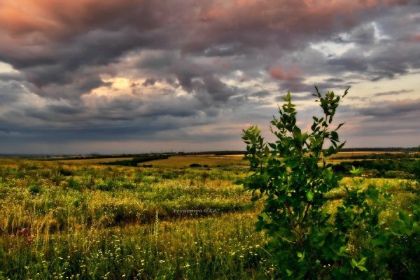 Украинская степь (Донецк)