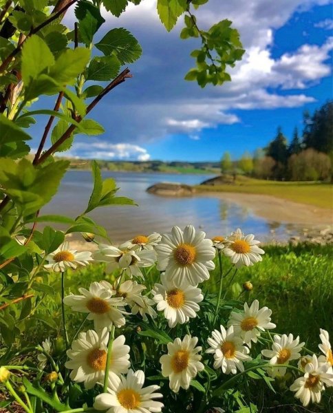 Красивая природа с пожеланиями