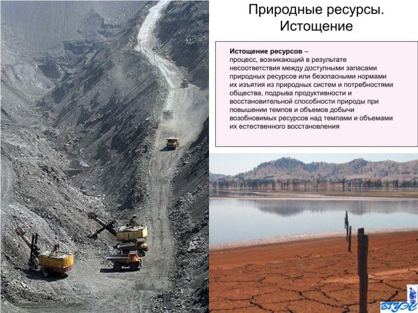 Жара засуха