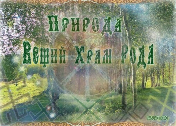 Природа мой храм