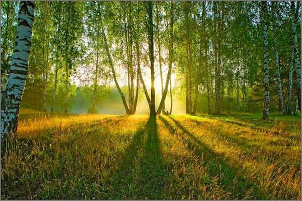 Родина моя русская земля